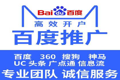 专业SEM服务公司案例分析报告