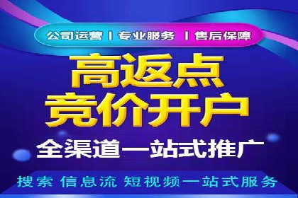 SEM服务案例：打造行业领先品牌